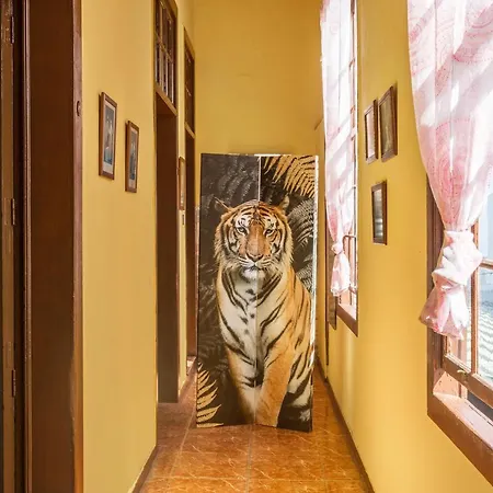 Casa Pollo Buen Lugar *